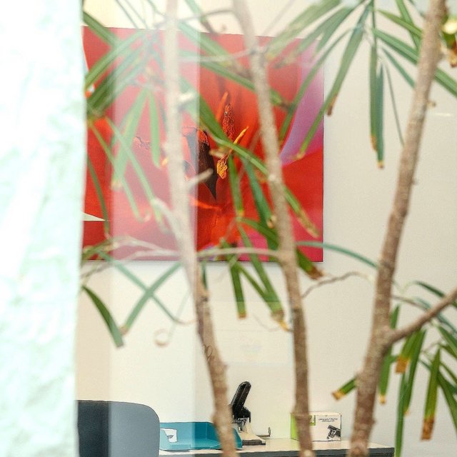 Feldkirch_Raum_4__900