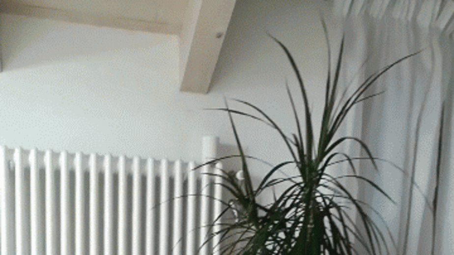 VID_20180215_111238-ANIMATION